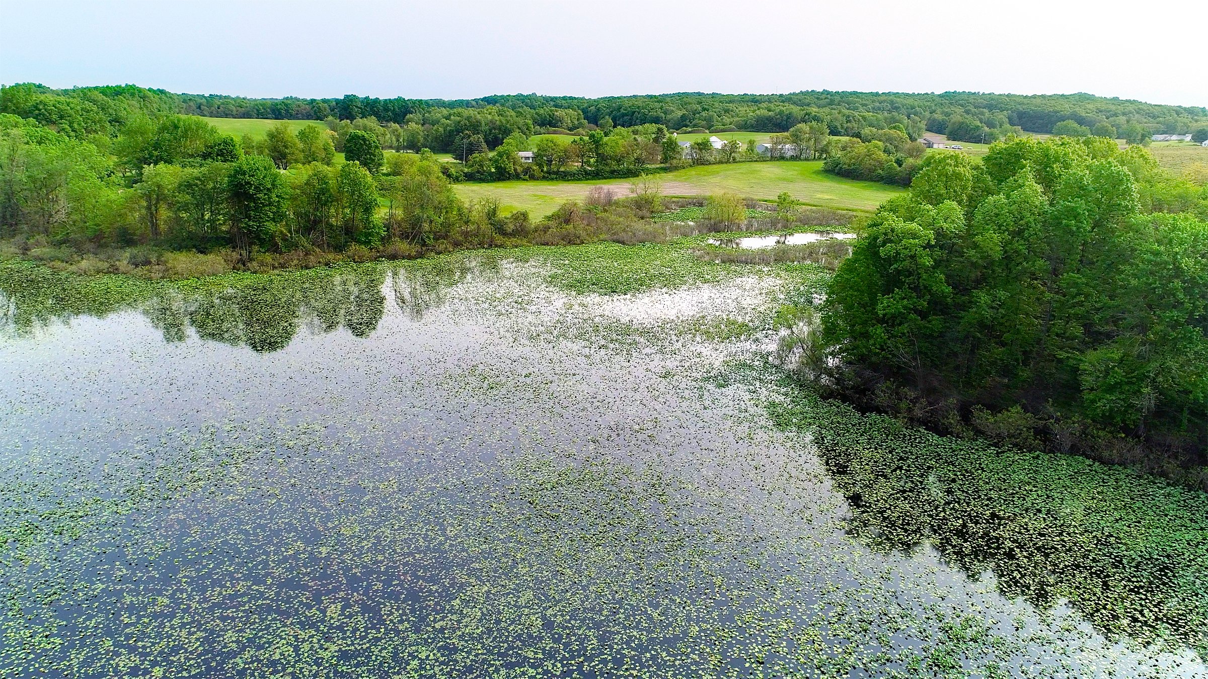 Pond on a farm in Van Buren County, Michigan - LAND AUCTION - 194+/- ACRES OFFERED IN 5 TRACTS IN VAN BUREN COUNTY, MICHIGAN